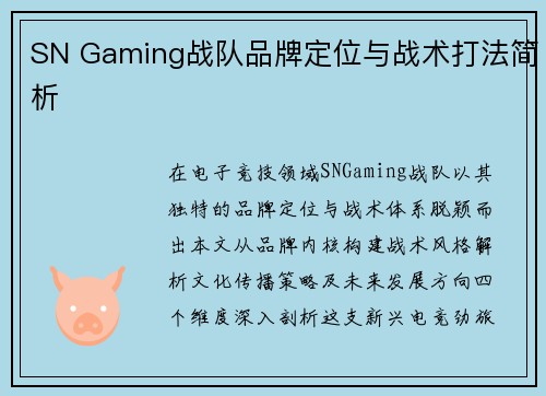 SN Gaming战队品牌定位与战术打法简析
