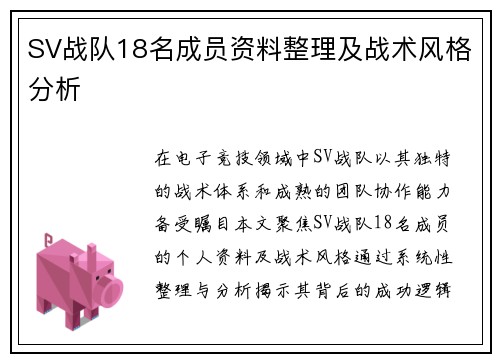 SV战队18名成员资料整理及战术风格分析